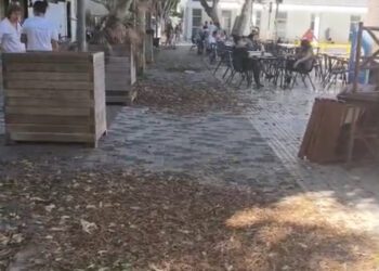 Las hojas desperdigadas por la plaza, que han sido retiradas hoy después de una semana. Fotos Noudiari.es