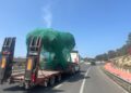 Un camión transporta un olivo por una carretera de Ibiza. / D.G.