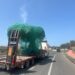 Un camión transporta un olivo por una carretera de Ibiza. / D.G.