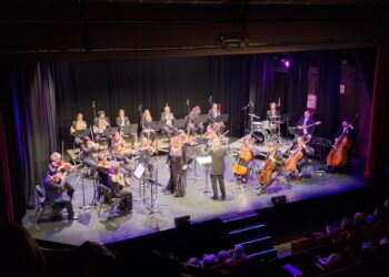 Imagen de archivo de la Orquesta Sinfónica Ciudad de Ibiza. / AE