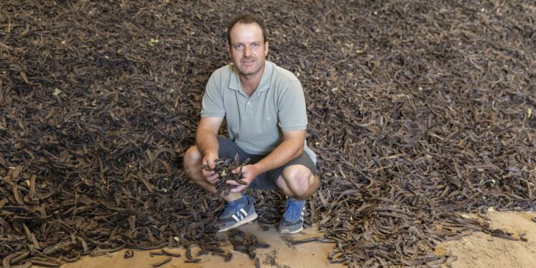 Toni Tur, presidente de la Cooperativa Agrícola de Sant Antoni. Fotografía de Paco Natera.