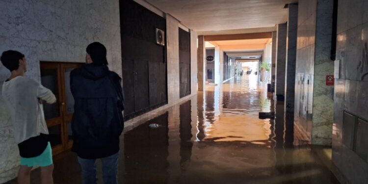 Los comercios de la zona de Es Pratet, entre ellos bajos comerciales y bares, han sido de los más perjudicados por la lluvia. Foto D. V.