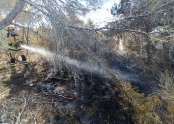 Bomberos actúan para terminar de extinguir el fuego. / CAIB