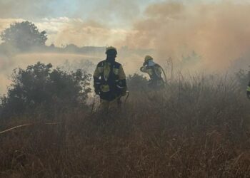 Agentes del Ibanat, en la zona afectada por las llamas