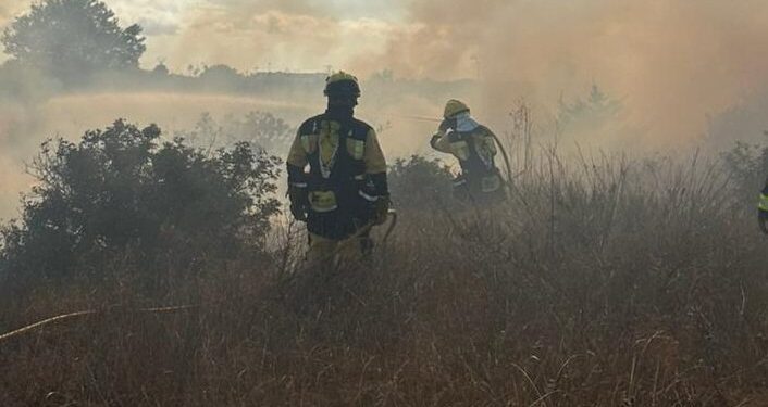 Agentes del Ibanat, en la zona afectada por las llamas