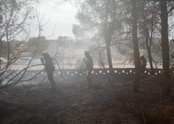 Imagen de la zona afectada por las llamas.