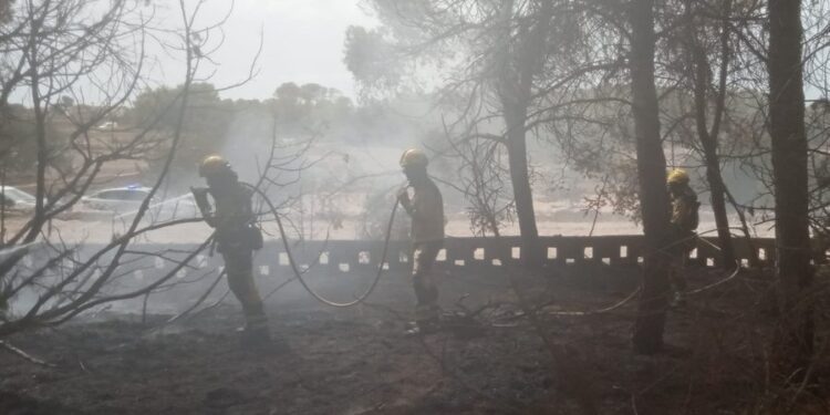 Imagen de la zona afectada por las llamas.