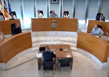 Una imagen del pleno de esta mañana. / Youtube CIE