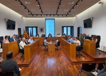 Una imagen del Pleno municipal de Vila de este jueves. / AE