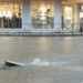 Una alcantarilla colapsada durante las últimas lluvias. Fotos Noudiari.es