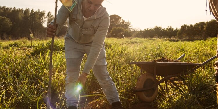 Plantación de árboles en Ibiza. IbizaPreservation