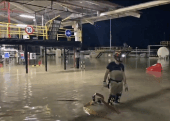 Una significativa imagen de la UME trabajado de noche en una zona completamente anegada.