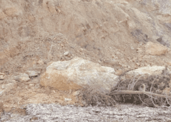 Rocas y árboles sobre Cala Xarraca. Imagen Noudiari.es Óscar Marí