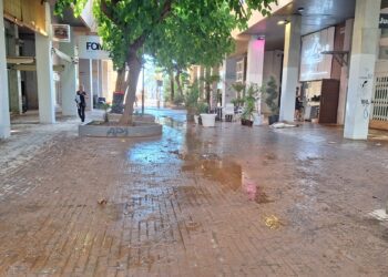 Las mascotas pueden beber agua de charcos de las lluvias y eso es un peligro porque pueden contraer enfermedades.