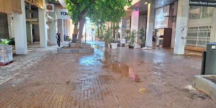 Las mascotas pueden beber agua de charcos de las lluvias y eso es un peligro porque pueden contraer enfermedades.