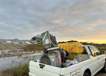 Aplicación del producto biológico sobre una zona húmeda. / CIE