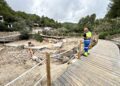 Daños en la playa de s'Arenal Petit de Portinatx