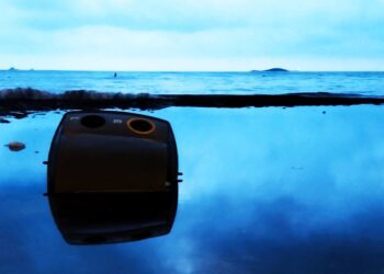 Imagen de la playa de ses Figueetes esta mañana, adonde las lluvias de ayer arrastraron un contenedor de basura.