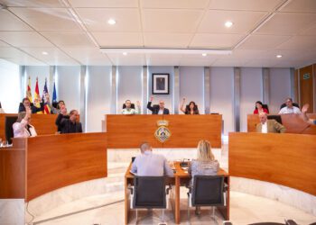 Una de las votaciones del pleno que se ha celebrado esta mañana. / CIE