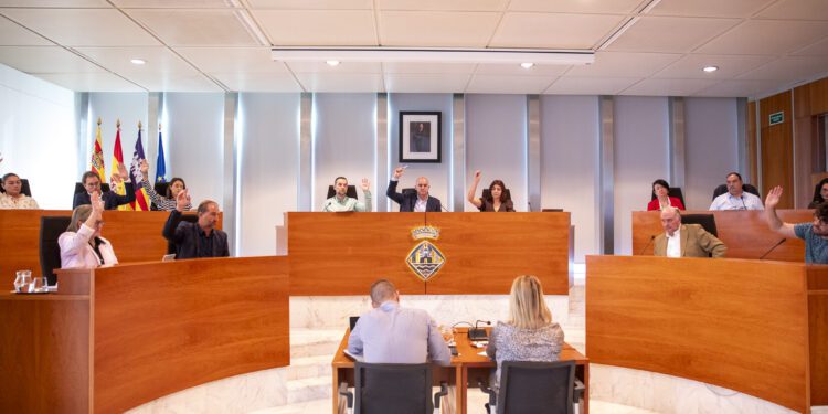 Una de las votaciones del pleno que se ha celebrado esta mañana. / CIE