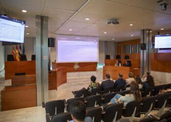 Los datos se han expuesto en la sala de plenos del Consell. / CIE