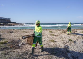 Los trabajadores retiran los restos de la embarcación. / CIF