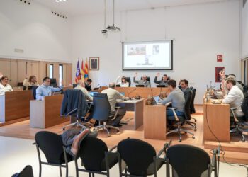 Imagen del pleno del Consell de Formentera que se ha celebrado hoy. / CIF