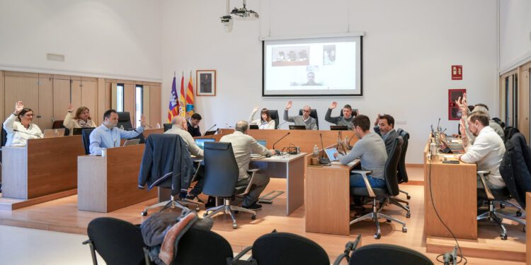 Imagen del pleno del Consell de Formentera que se ha celebrado hoy. / CIF