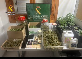 Imagen de las plantas, drogas y otros enseres intervenidos por la Guardia Civil de Santa Eulària.