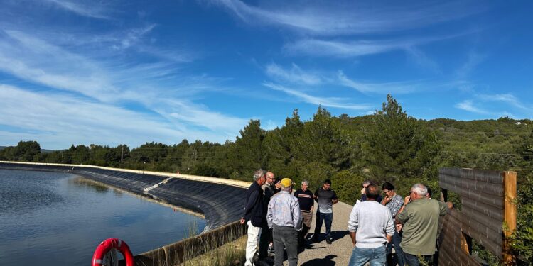 Visita a la balsa de Sa Rota, construida en 1995.