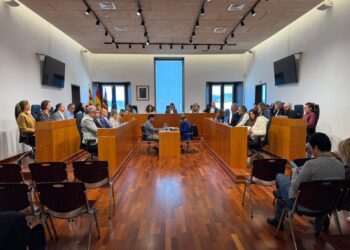 Pleno del Ayuntamiento de Ibiza.