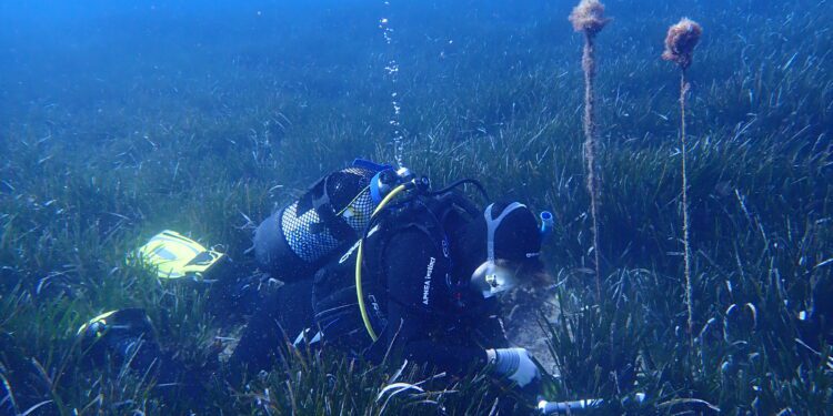 Instalación del medidor de temperatura. / Álvaro Almagro
