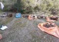 Las bolsas de plástico con los restos de los perros. / CIF