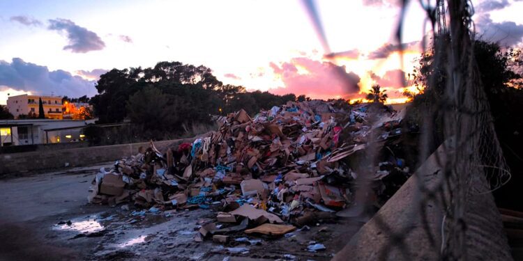 Imagen del solar donde los camiones de recogida de desechos han empezado a verter el papel y catón recogido en los contenedores de toda la isla.