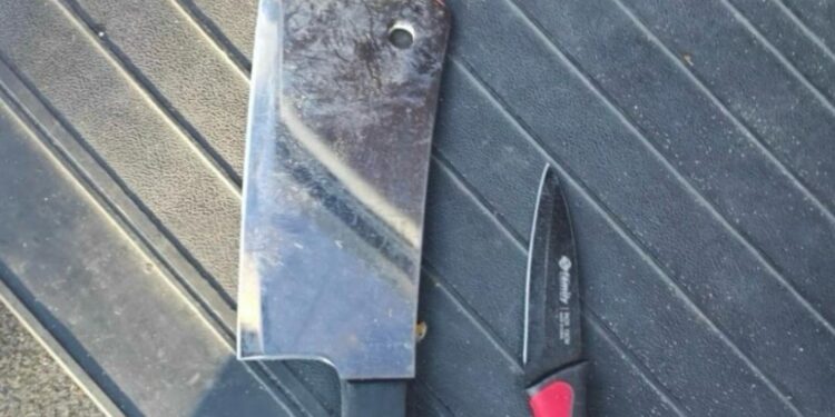 Los dos cuchillos que portaba la mujer en el momento de los hechos, sucedidos en Cala Llonga, Santa Eulària.