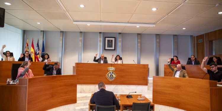 Votación del tercer punto de la moción sobre los autónomos. / CIE