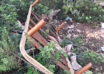 Un somier encontrado en un pinar. / PSOE