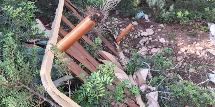 Un somier encontrado en un pinar. / PSOE