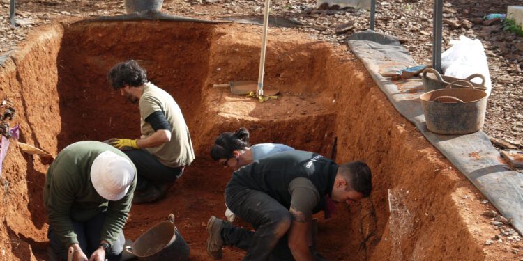 Los arqueólogos trabajan en el interior del cementerio. / CAIB