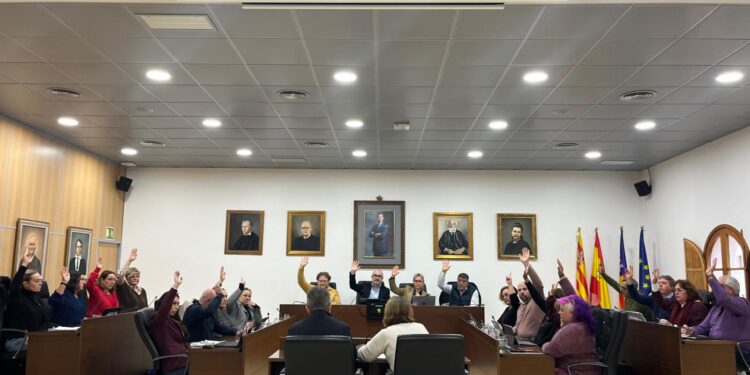 Momento en el que se produce la votación a mano alzada. / ASJ