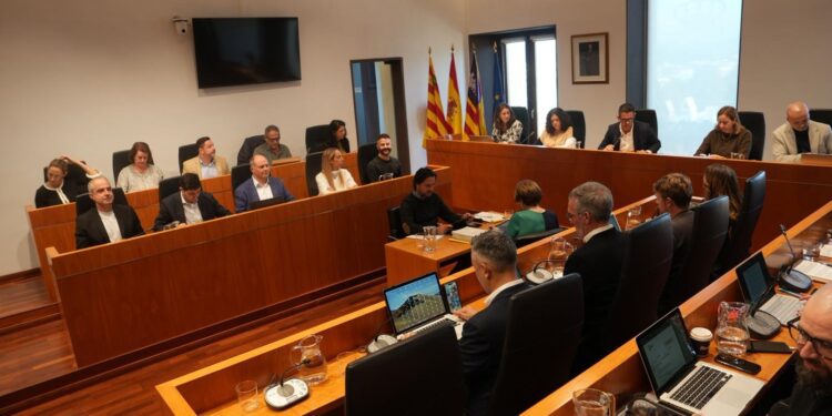 Imagen del Pleno de esta mañana. / AE