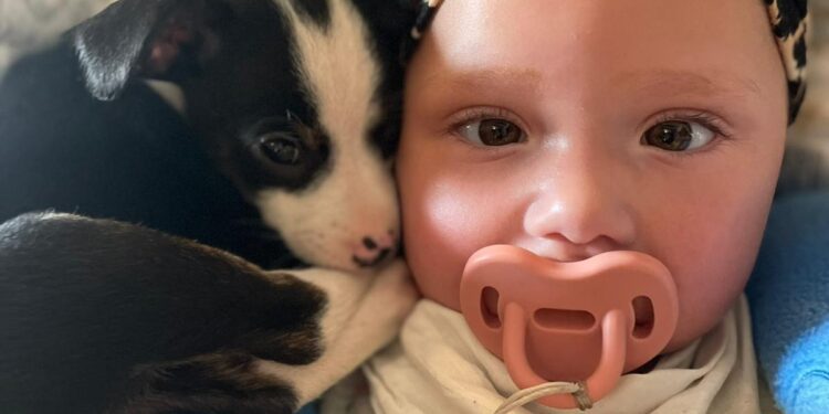 Yuna Mila, la niña aquejada de la mutación del gen KNT1. / Foto cedida por la familia.