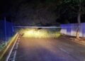 Imagen de un árbol caído esta pasada noche sobre una carretera en el municipio de Sant Josep