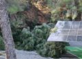 Placas solares dañadas por la caída de un pino en S'Arenal Petit, Portinatx. Foto: Ayuntamiento de Sant Joan