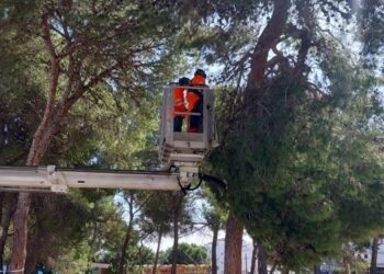 Imagen de archivo de una actuación de los bomberos en el municipio de Santa Eulària