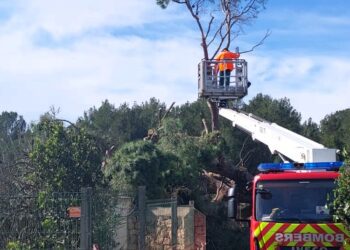 En la imagen, una de las incidencias en las que trabajan los bomberos de Ibiza esta mañana