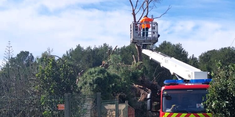 En la imagen, una de las incidencias en las que trabajan los bomberos de Ibiza esta mañana