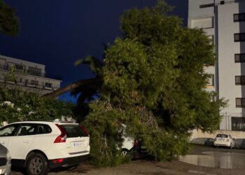 La borrasca Harry ha dejado impactos como la caída de un árbol sobre un vehículo en Sant Antoni. Foto: Ayto Sant Antoni