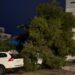 La borrasca Harry ha dejado impactos como la caída de un árbol sobre un vehículo en Sant Antoni. Foto: Ayto Sant Antoni