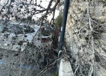 Ramas de un árbol caídas esta noche sobre un coche en el aparcamiento del parque Reina Sofía  de Ibiza.